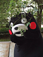 #熊本熊# #kumamon#