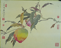 0ec9d68517c0459b99c8598968bf8b28采集到插画