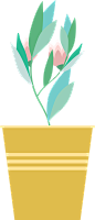 扁平植物 花卉  ins绿植 小花 盆栽 png