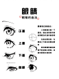 眼睛的画法 (2)