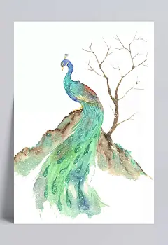 鸟类|彩绘,孔雀,羽毛,翡翠,绿色,卡通元素,手绘/卡通