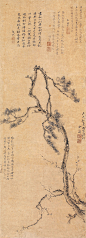 明 金俊明 ·《松梅图》
