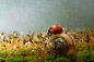 Magical Macro World Of Snails And Bugs By Vadim Trunov : Vadim Trunov, a self-taught nature photographer based in Voronezh, Russia, takes beautiful macro photos of snails, insects and mushrooms that seem to personify them and weave beautiful little storie