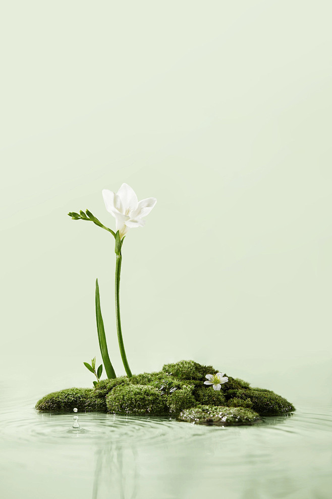 化妆品香水洗护海报摄影简约高级感实物背景