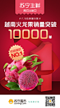苏宁 生鲜 火龙果 TOP 海报 生鲜海报