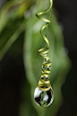 ♂ Nature as art green raindrops on passion flower tendril