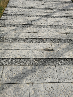JoséB采集到Landscape Paving