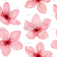 无缝图案手绘水彩樱花，花朵精致。日本的樱花。设计婚礼请柬，面料，包装，纺织品，封面，明信片，纸，贺卡