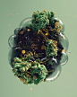 Everydays April 2017 : Collection of everydays from April 2017. All work created in Cinema 4D and rendered in Octane.