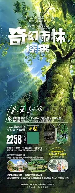 奇幻雨林探索海报 -源文件