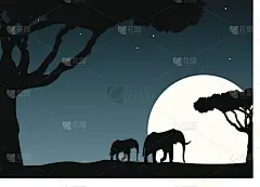 大象之夜