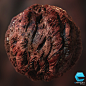 Organic Horror Veins, Enrico Tammekänd : 100% Substance Designer texture.
We are happy to announce that a prolonged idea of a choices based horror game has been taken to development by us! This is one of the textures for our game "Screams of Silence&