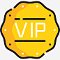 Vip豪华15线性颜色图标高清素材 UI 设计图片 免费下载 页面网页 平面电商 创意素材 png素材