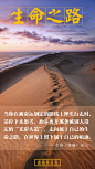 0126 生命之路（无）-彭聪
#新精英日签# #新精英生涯# #生涯规划# #你的生命有什么可能# #生涯研习社#