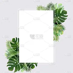 叶子,棕榈树,季节,夏天,绿色,闪亮的,华丽的,概念,发光