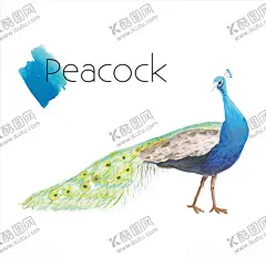 孔雀 【酷图网】孔雀海报,孔雀广告,孔雀画册,孔雀装饰画,孔雀,孔雀开屏,孔雀胆,打折孔雀,孔雀草,孔雀苗,黑孔雀,白孔雀,蓝孔雀,牡丹孔雀图,孔雀高炮,孔雀灯箱,傲视天下,孔雀围挡,孔雀浮世绘,孔雀围板,绿孔雀,孔雀LOGO,孔雀油画,孔雀鱼,手绘孔雀,谜孔雀,孔雀翎,孔雀毛,金孔雀,孔雀蓝,孔雀雕塑