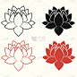 美丽的莲花。