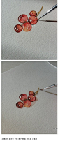 水彩画树示范教程…_来自亲爱的sammi的图片分享-堆糖