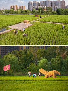 设计无界采集到农庄景观