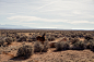 ON THE ROAD II / Utah - part 1 : There is something magical about being on the road. You feel alive...On the Road II - USA 2015