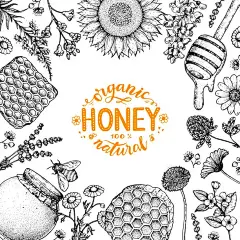 蜂蜜手绘矢量插图。蜂蜜框架。健康食品的说明。字母有机蜂蜜100%天然。蜂巢，鲜花，一罐蜂蜜素描。图片下载
