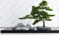 新中式庭院景观小品 3d模型