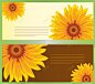 美丽的向日葵名片背景矢量图 鲜花 黄色 平面广告 设计图片 免费下载 页面网页 平面电商 创意素材