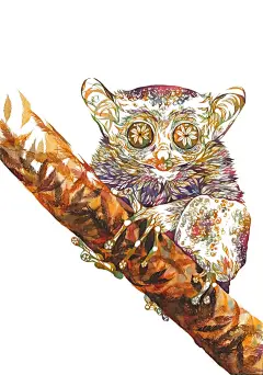 武多弘树（转自赵龙飞）-6   |欢迎加入烩设计”QQ群：272883076进群后请按 “姓名 - 学校（城市） -专业” 修改群名片，如“ 胡伟-同济-汽车”
