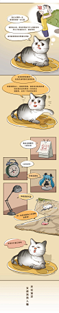 条漫设计 手绘漫画 公众号 插画 温馨 猫 顺丰