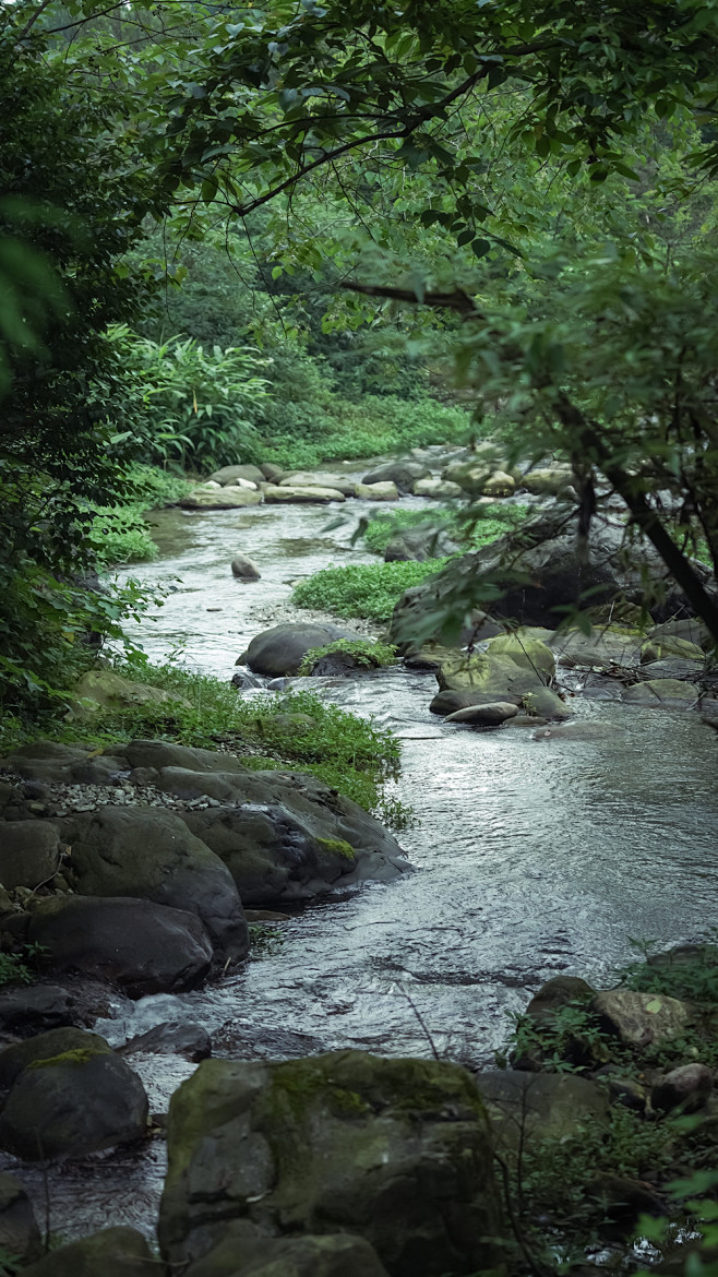 26-最大程度的保留了现状岩石和野境林木...