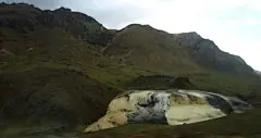 马奶茶