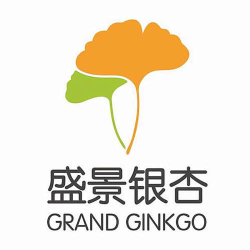 银杏叶logo设计_百度图片搜索