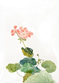 花