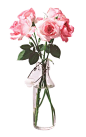 玫瑰花png 30