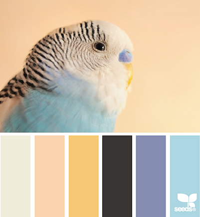 Design Seeds® | find...
