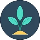 Sapling