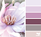 Design Seeds : Design Seeds color palettes ... posted daily for all who love color.