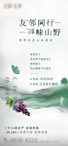 山谷露营采摘葡萄活动海报