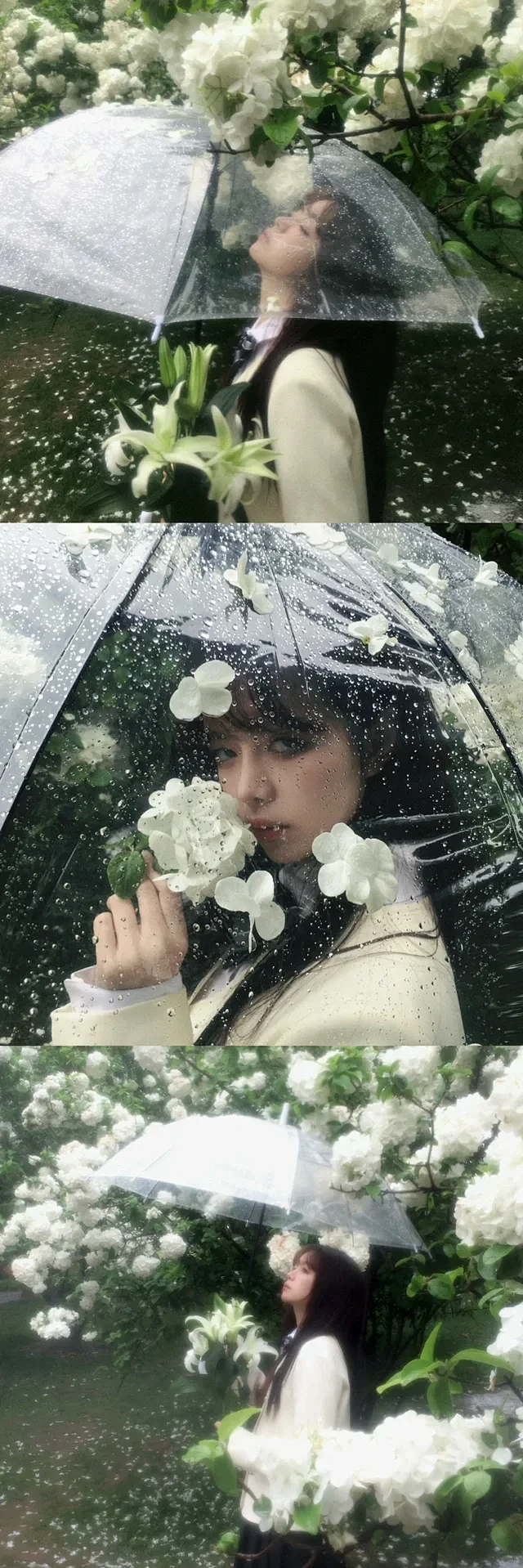 存一些雨天拍照氛围感头像️ - 小红书