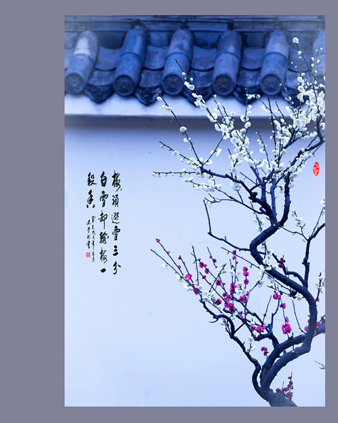 卜算子&nbsp; &nbsp;咏梅 &nbsp;&nbsp;&nbsp;&nbsp;&nbsp;&nbsp;&