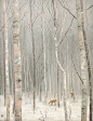 #绘画分享# 画家野地美树子的冬雪作品，我喜欢你是寂静的。 ​​​​