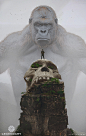 #杂图志# Kong: Skull Island Concept Art #金刚：骷髅岛# 
P1-3 Ivan Khomenko
P4-6 Ignacio Bazan Lazcano
P7-9 Joseph Cross ​​​​