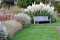 Breathtaking combination of ornamental grasses.: 