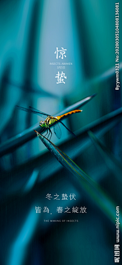 飞扬123456采集到节日