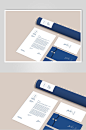 蓝色时尚高端简约品牌VI包装设计展示样机