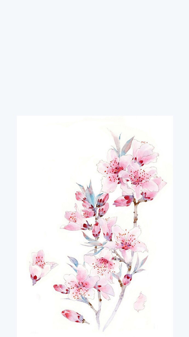 花开