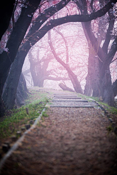 洛羽薇采集到风景