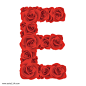 玫瑰花字母E