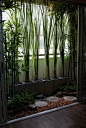 【景观】竹 · 庭院