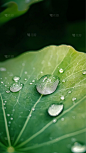 雨水实景感雨天氛围场景背景